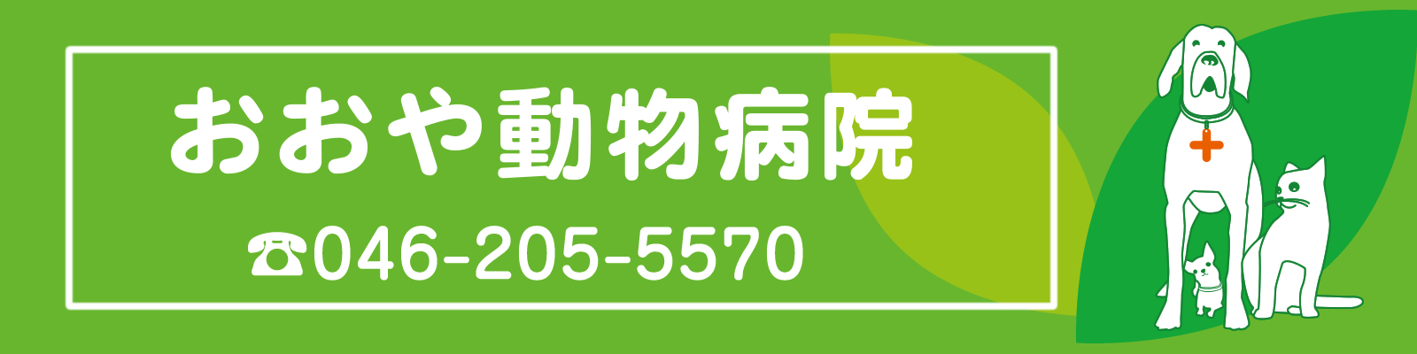 おおや動物病院