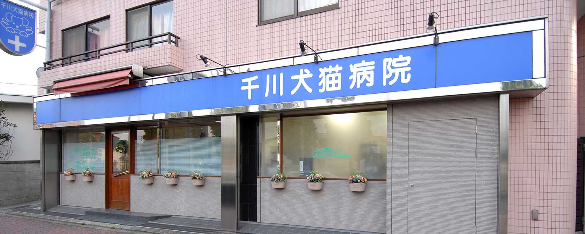 千川犬猫病院