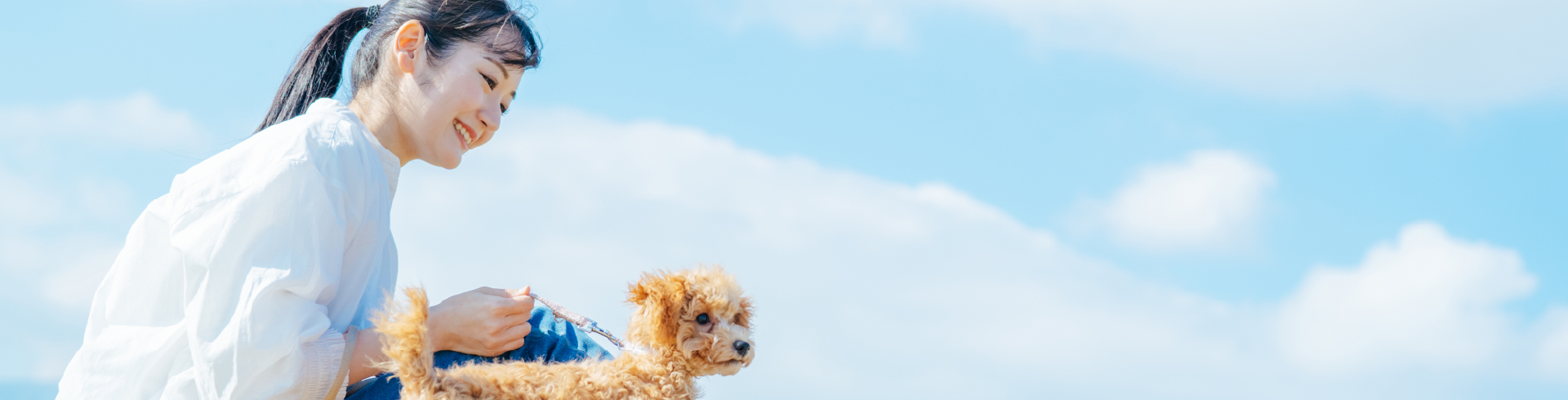 平安通どうぶつ病院