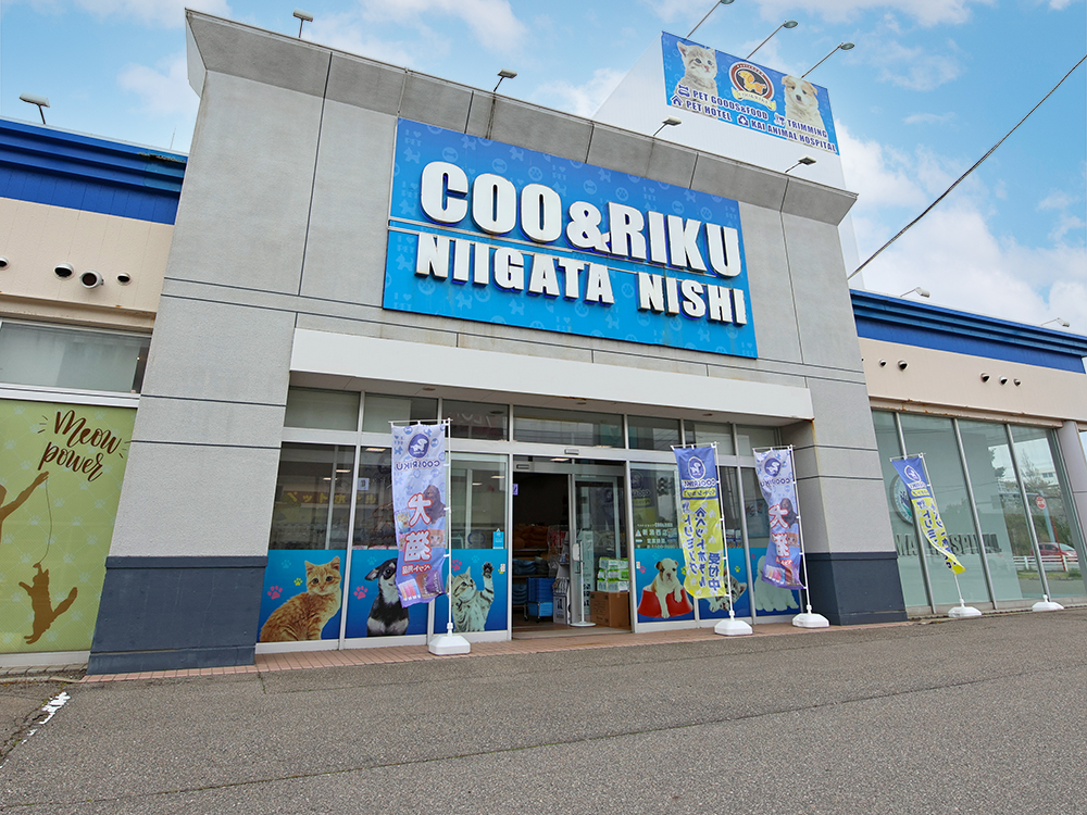 海動物病院　新潟西院