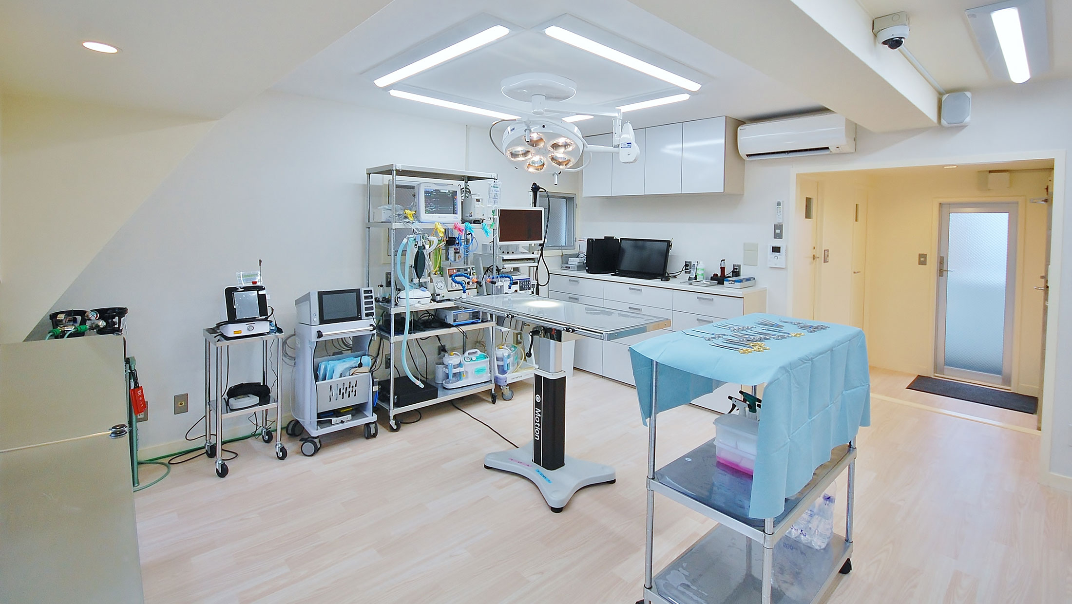 六本木動物医療センター六本木動物病院 青山本院