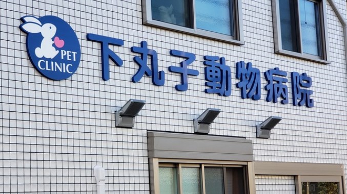 下丸子動物病院