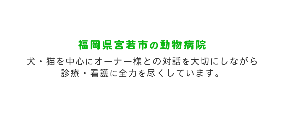 よしもと動物病院