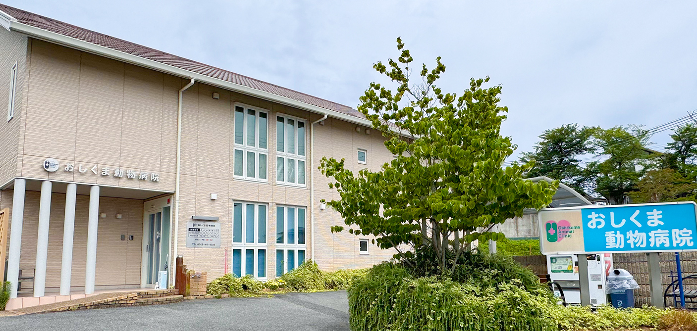 おしくま動物病院