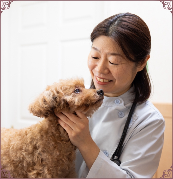 フェアリー動物病院