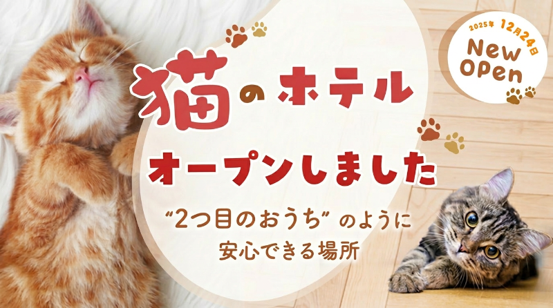 セカンドハウス