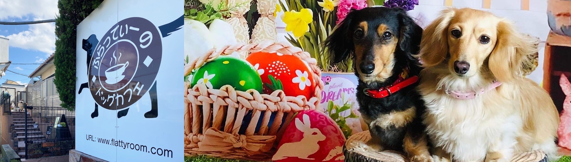 ふらってぃールーム