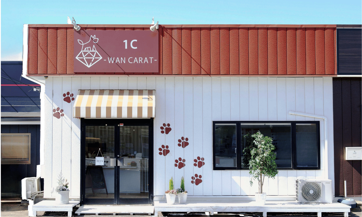 1C-WAN CARAT-成田店