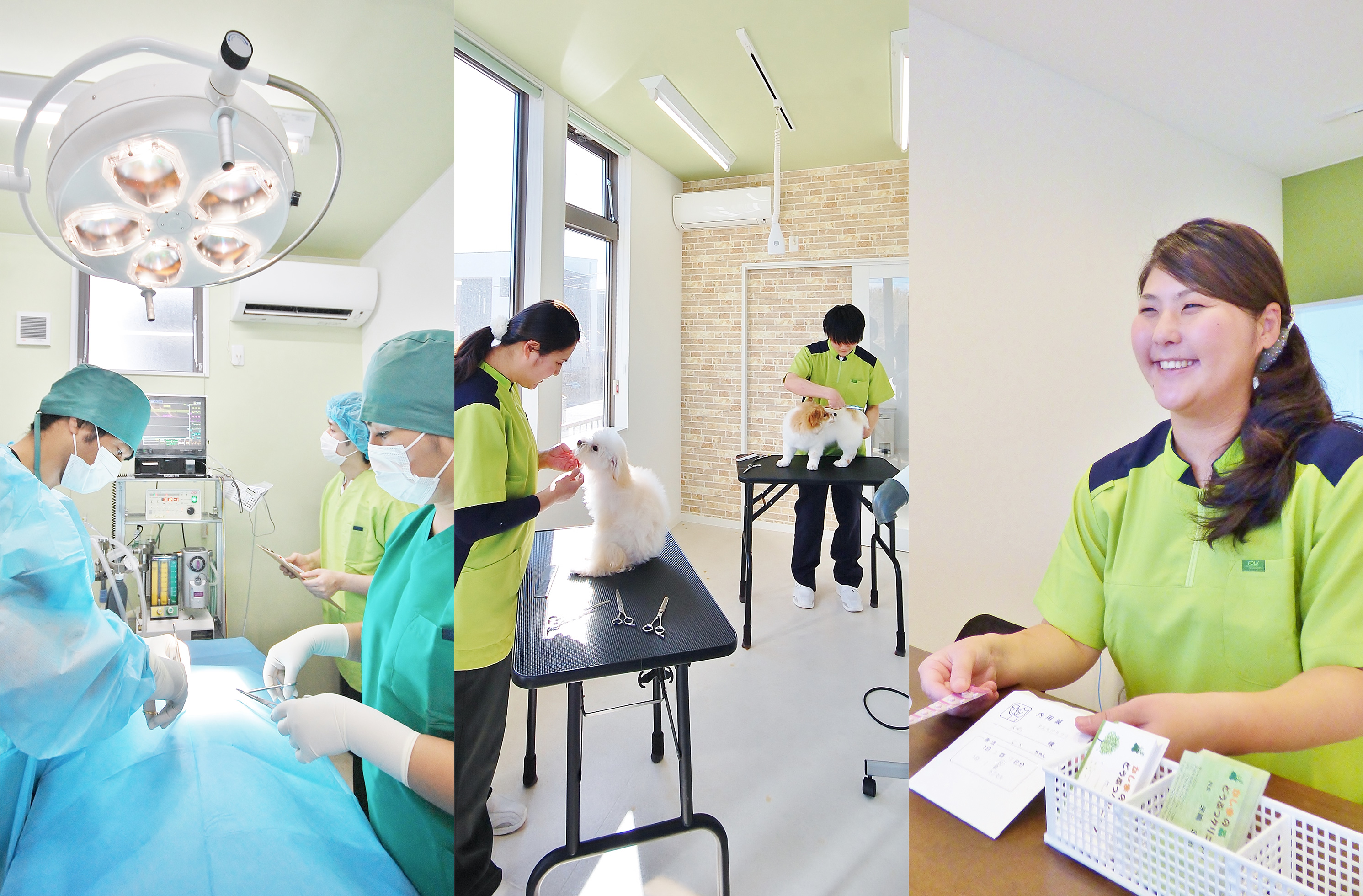 かしまの森どうぶつクリニック