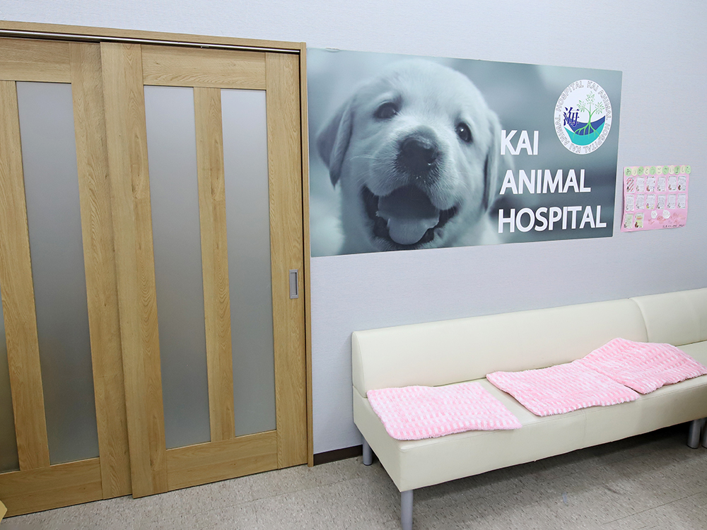 海動物病院　若葉都賀往診所