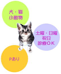 エムズ動物病院