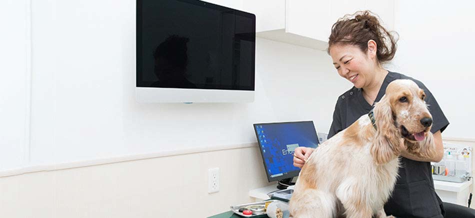 かんじ動物病院