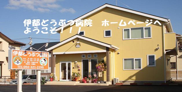 伊都どうぶつ病院