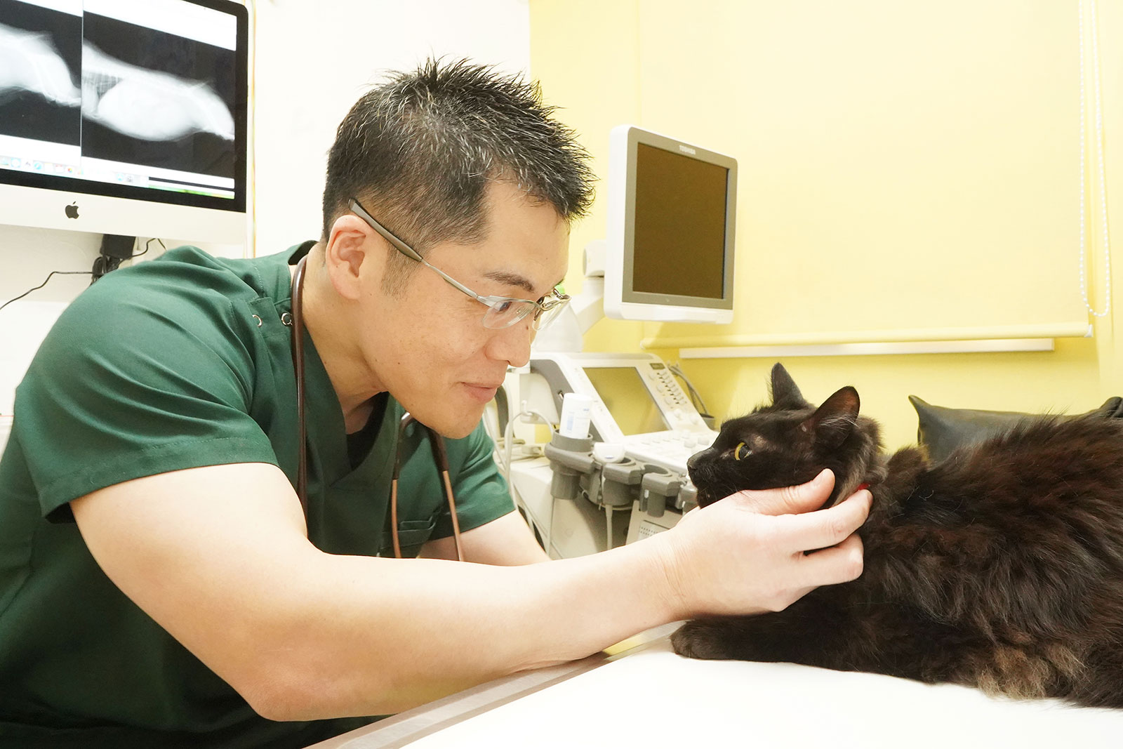 メルどうぶつ病院