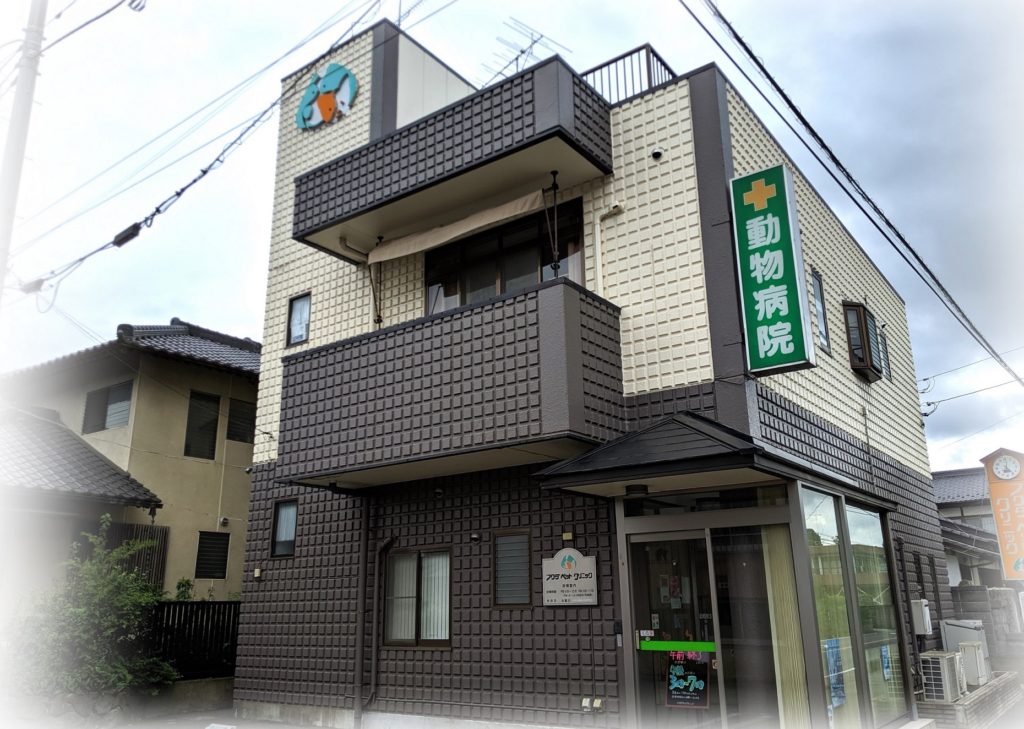 フクダペットクリニック
