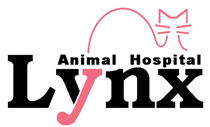 リンクス動物病院