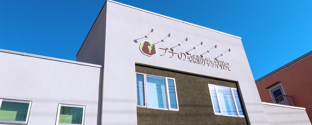 ブナの森動物病院