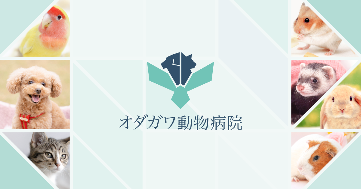 オダガワ動物病院