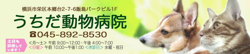うちだ動物病院