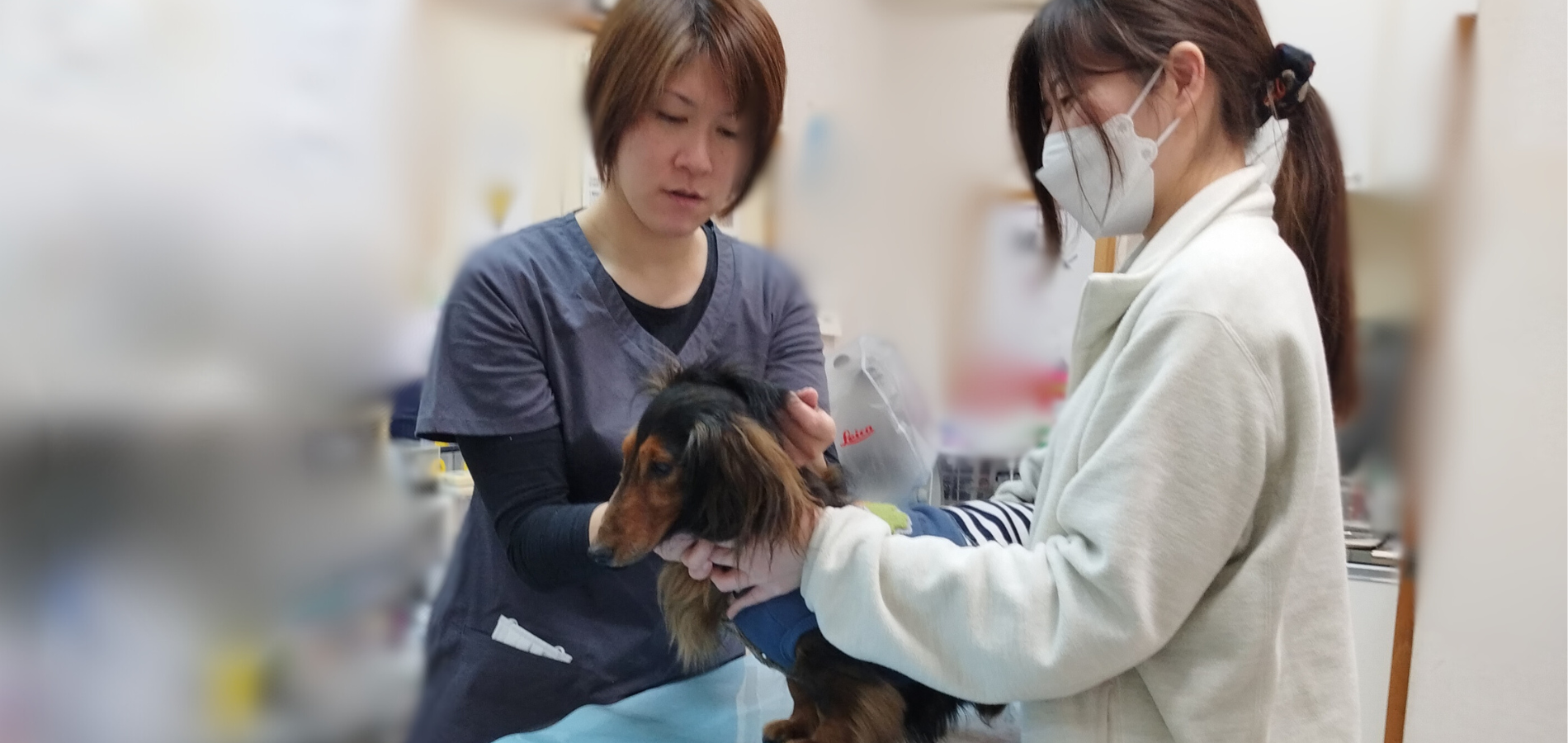 あべ川動物病院