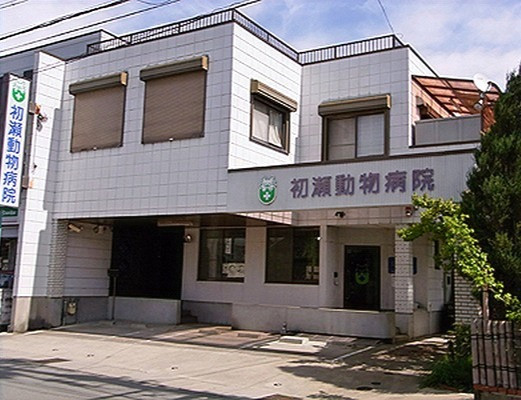 初瀬動物病院