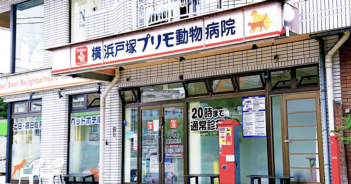 横浜戸塚プリモ動物病院