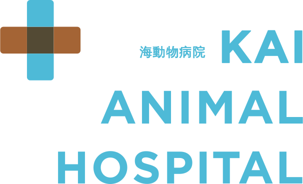 海動物病院　大宮本院