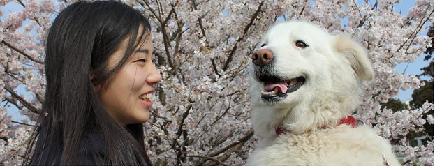 のなかどうぶつ病院