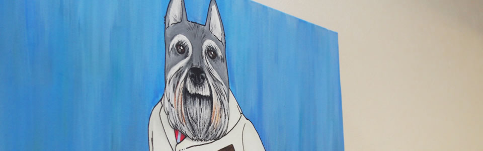 ライズ元町動物病院