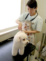 大磯どうぶつ病院