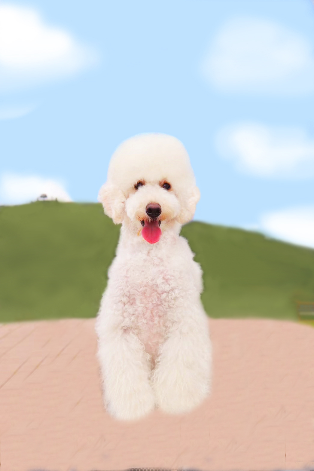 トリミングハウスルナ