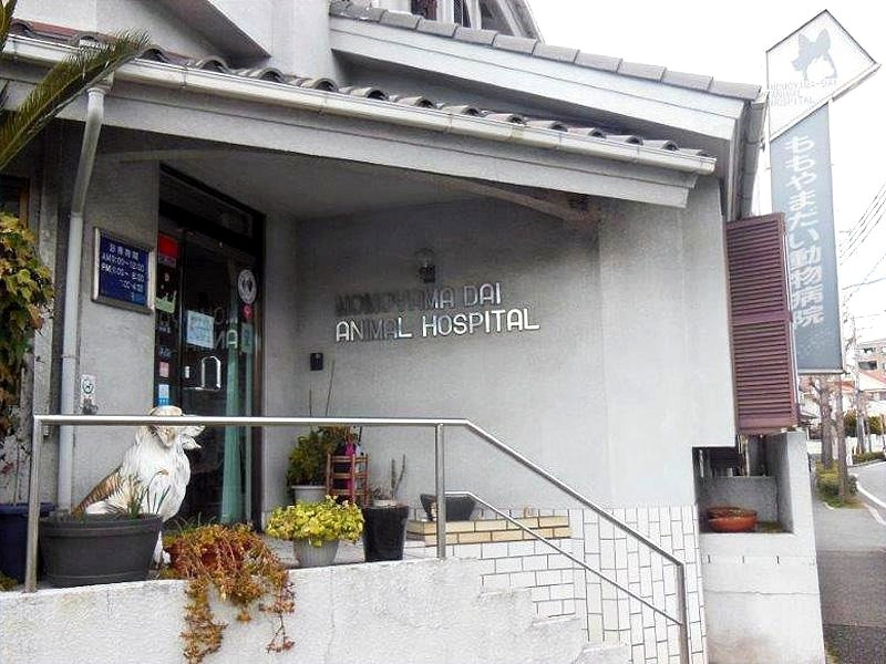 ももやまだい動物病院