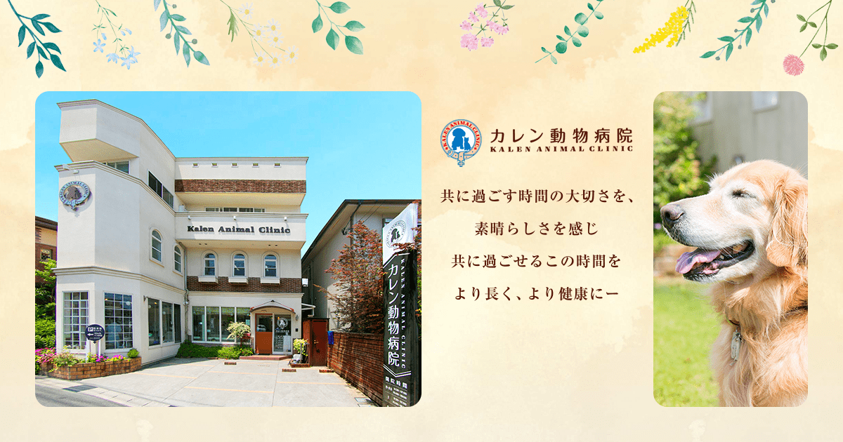 カレン動物病院