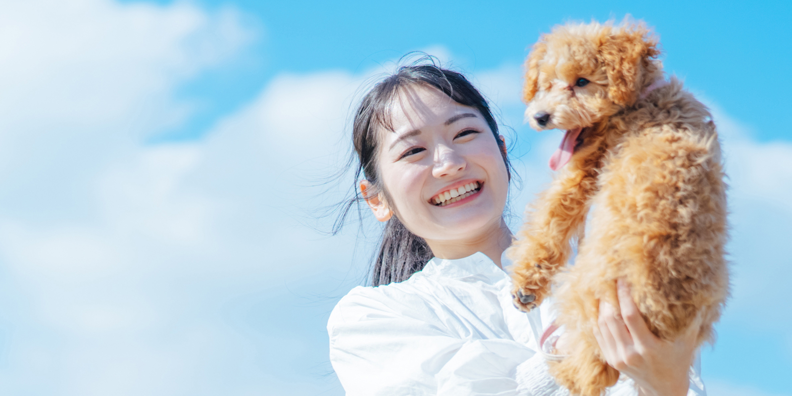 まつうら動物病院