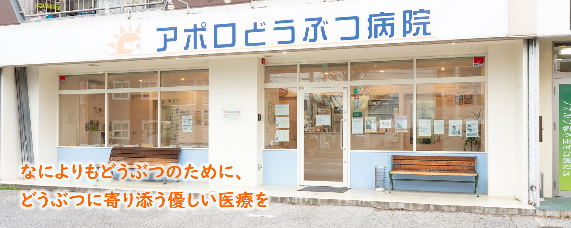 アポロどうぶつ病院