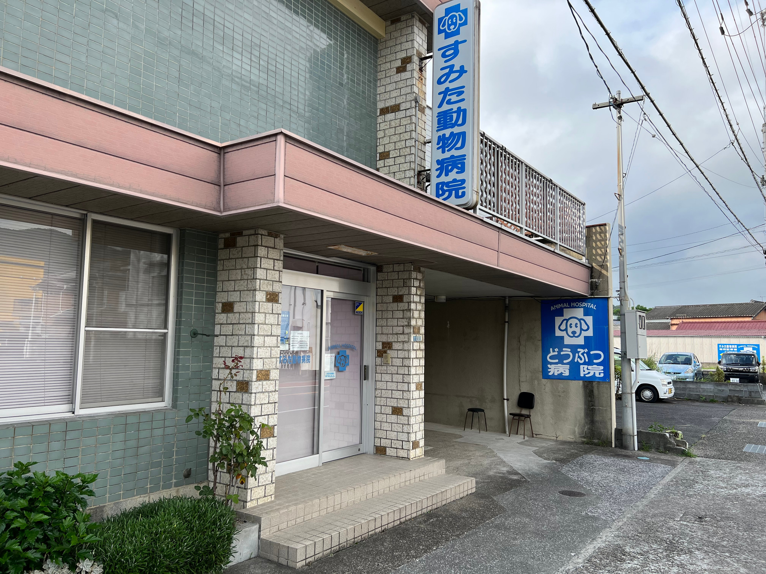 すみた動物病院