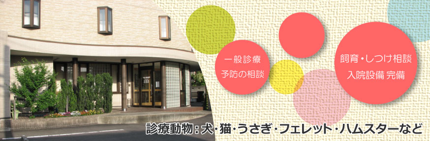 つぼい動物病院