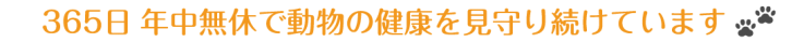 21動物病院 方南通り院