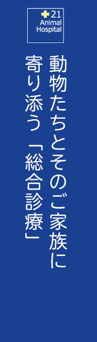 21動物病院