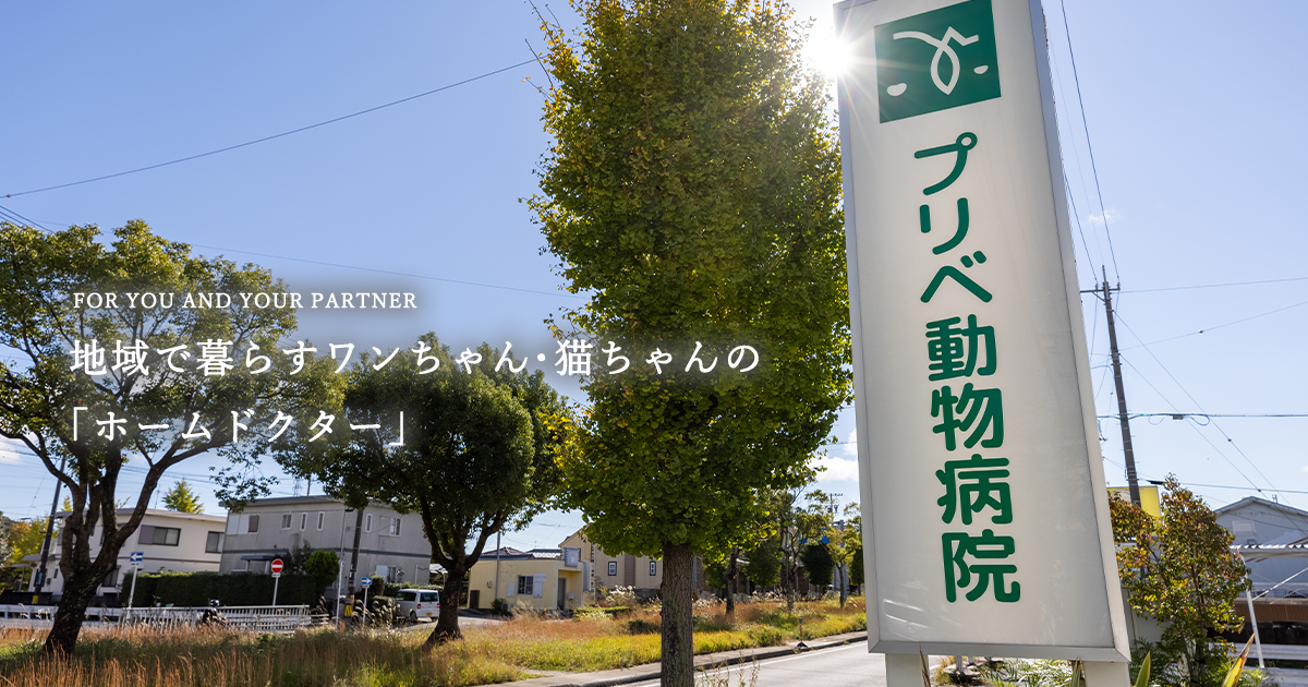 プリベ動物病院