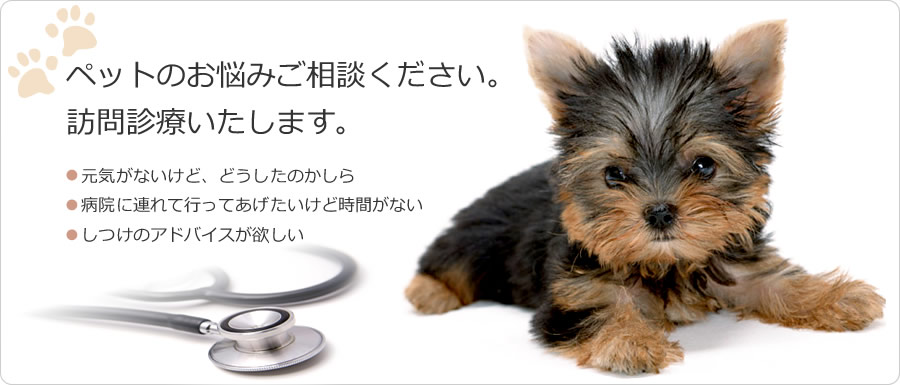 平山獣医科医院