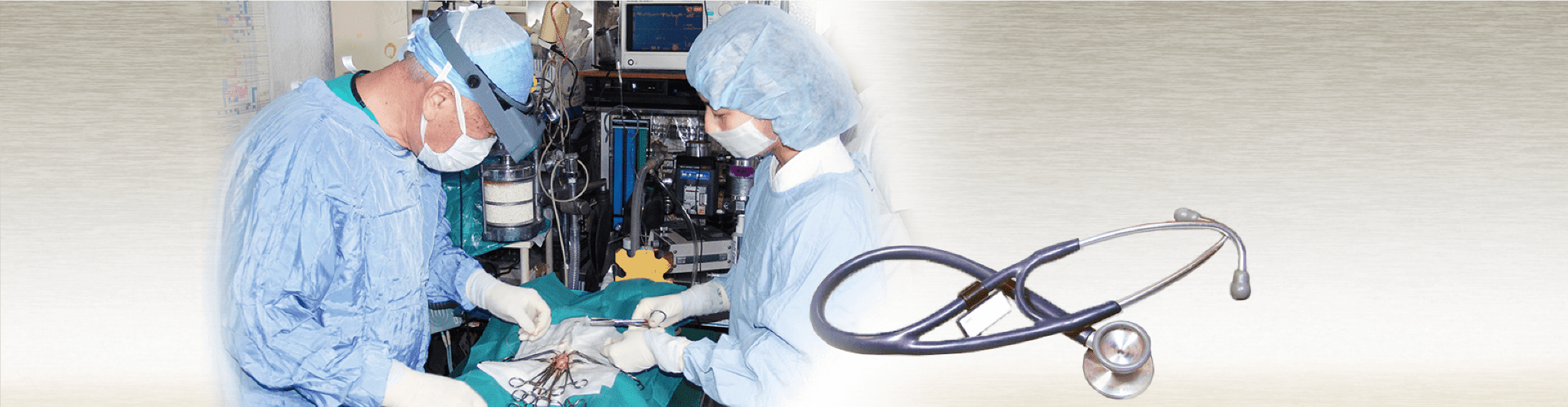 ツルノ獣医科病院