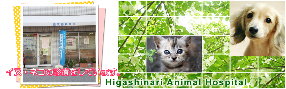 東成動物病院