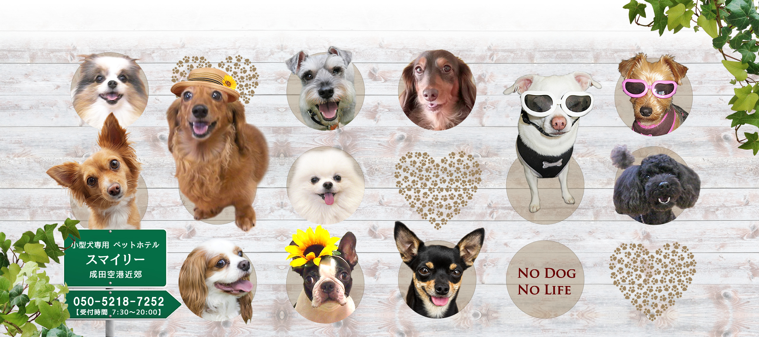 成田空港近くのペットホテル　スマイリー