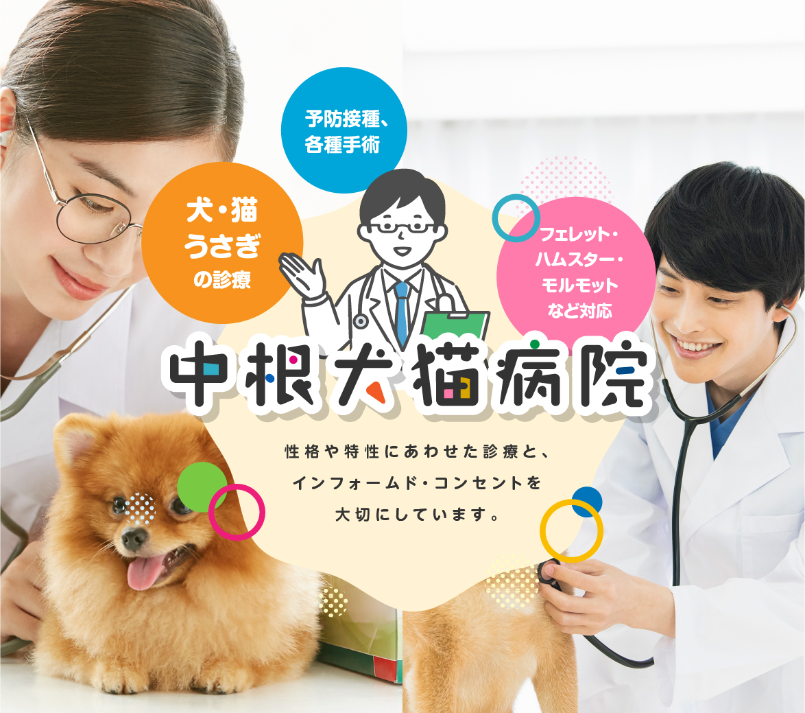 中根犬猫病院