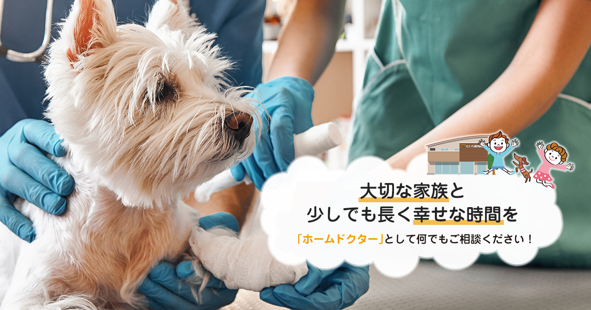 たいち動物病院