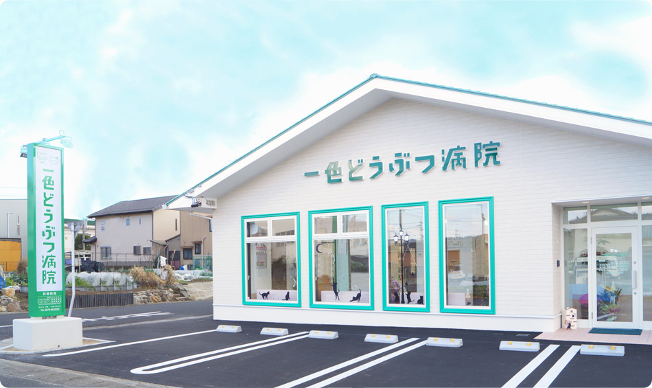 一色どうぶつ病院