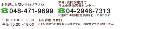 シーズ動物病院