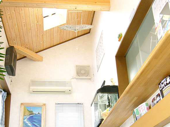 自由ヶ丘どうぶつ病院