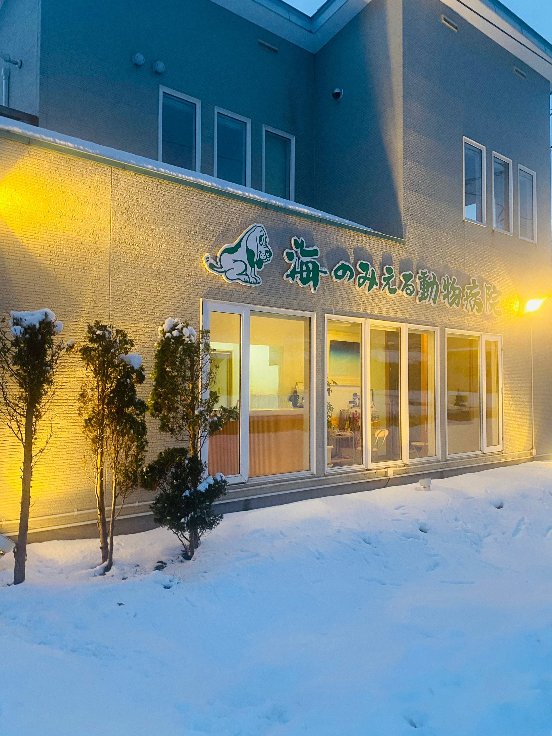 海のみえる動物病院